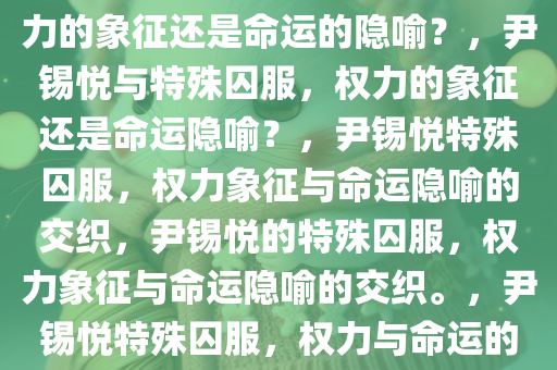 尹锡悦与特殊的10号囚服，权力的象征还是命运的隐喻？，尹锡悦与特殊囚服，权力的象征还是命运隐喻？，尹锡悦特殊囚服，权力象征与命运隐喻的交织，尹锡悦的特殊囚服，权力象征与命运隐喻的交织。，尹锡悦特殊囚服，权力与命运的交织象征