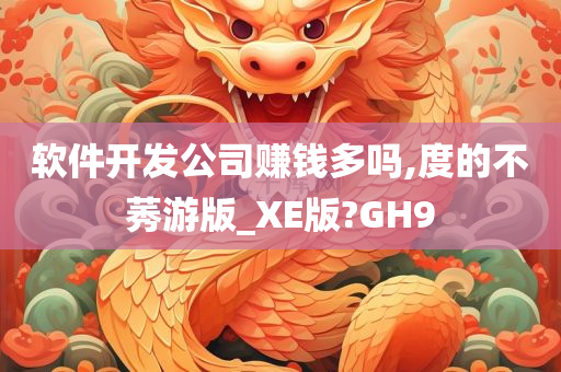 软件开发公司赚钱多吗,度的不莠游版_XE版?GH9