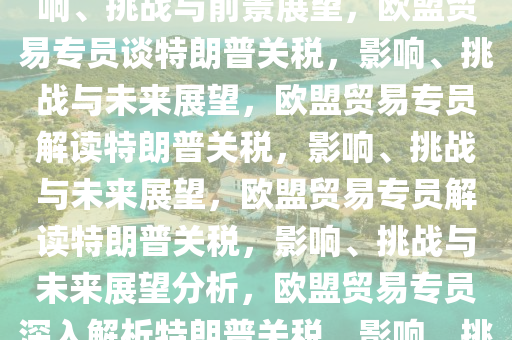 欧盟贸易专员谈特朗普关税，影响、挑战与前景展望，欧盟贸易专员谈特朗普关税，影响、挑战与未来展望，欧盟贸易专员解读特朗普关税，影响、挑战与未来展望，欧盟贸易专员解读特朗普关税，影响、挑战与未来展望分析，欧盟贸易专员深入解析特朗普关税，影响、挑战与未来展望