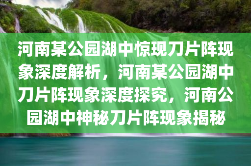 河南某公园湖中惊现刀片阵现象深度解析，河南某公园湖中刀片阵现象深度探究，河南公园湖中神秘刀片阵现象揭秘