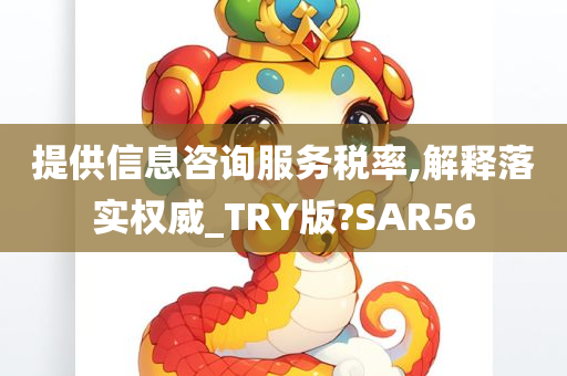 提供信息咨询服务税率,解释落实权威_TRY版?SAR56