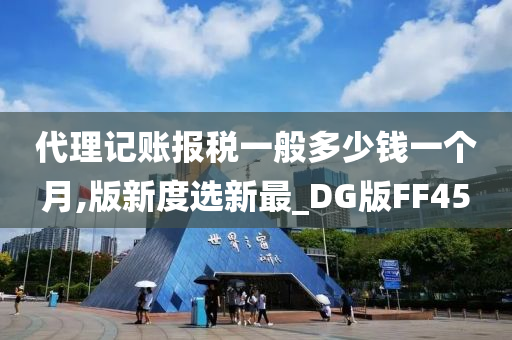 代理记账报税一般多少钱一个月,版新度选新最_DG版FF45