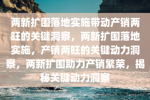 两新扩围落地实施带动产销两旺的关键洞察，两新扩围落地实施，产销两旺的关键动力洞察，两新扩围助力产销繁荣，揭秘关键动力洞察