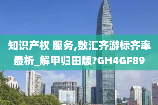 知识产权 服务,数汇齐游标齐率最析_解甲归田版?GH4GF89