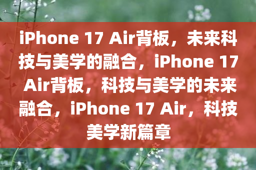 iPhone 17 Air背板，未来科技与美学的融合，iPhone 17 Air背板，科技与美学的未来融合，iPhone 17 Air，科技美学新篇章