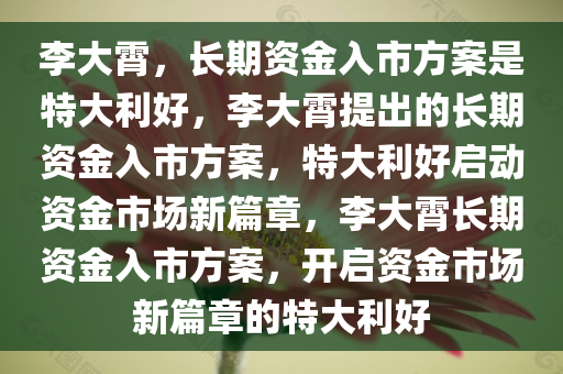 李大霄，长期资金入市方案是特大利好，李大霄提出的长期资金入市方案，特大利好启动资金市场新篇章，李大霄长期资金入市方案，开启资金市场新篇章的特大利好