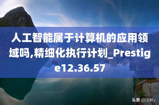 人工智能属于计算机的应用领域吗,精细化执行计划_Prestige12.36.57