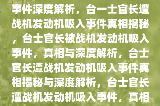 台一士官长遭战机发动机吸入事件深度解析，台一士官长遭战机发动机吸入事件真相揭秘，台士官长被战机发动机吸入事件，真相与深度解析，台士官长遭战机发动机吸入事件真相揭秘与深度解析，台士官长遭战机发动机吸入事件，真相与深度解析