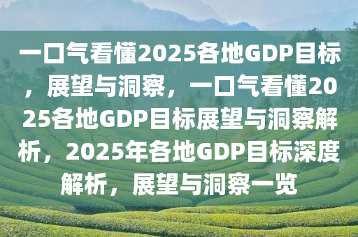 一口气看懂2025各地GDP目标，展望与洞察，一口气看懂2025各地GDP目标展望与洞察解析，2025年各地GDP目标深度解析，展望与洞察一览