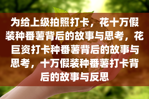 为给上级拍照打卡，花十万假装种番薯背后的故事与思考，花巨资打卡种番薯背后的故事与思考，十万假装种番薯打卡背后的故事与反思