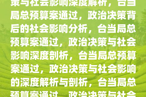 台当局总预算案通过，政治决策与社会影响深度解析，台当局总预算案通过，政治决策背后的社会影响分析，台当局总预算案通过，政治决策与社会影响深度剖析，台当局总预算案通过，政治决策与社会影响的深度解析与剖析，台当局总预算案通过，政治决策与社会影响全面解析