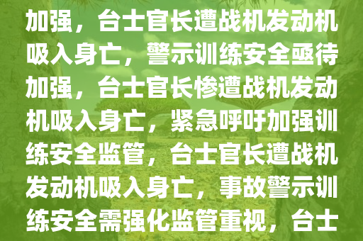 台士官长遭战机发动机吸入不治身亡，悲剧警示训练安全需加强，台士官长遭战机发动机吸入身亡，警示训练安全亟待加强，台士官长惨遭战机发动机吸入身亡，紧急呼吁加强训练安全监管，台士官长遭战机发动机吸入身亡，事故警示训练安全需强化监管重视，台士官长战机事故身亡，紧急呼吁强化训练安全监管