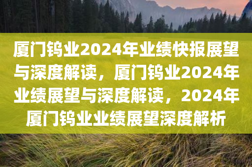 厦门钨业2024年业绩快报展望与深度解读，厦门钨业2024年业绩展望与深度解读，2024年厦门钨业业绩展望深度解析