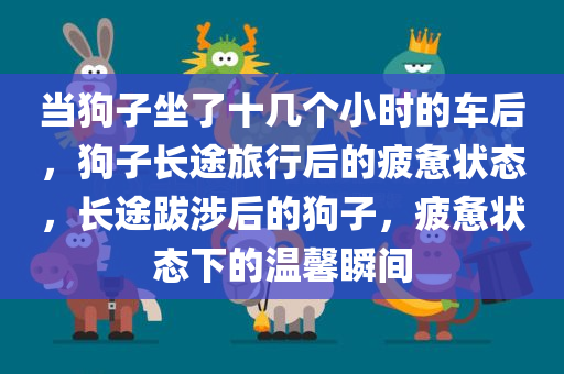 当狗子坐了十几个小时的车后，狗子长途旅行后的疲惫状态，长途跋涉后的狗子，疲惫状态下的温馨瞬间