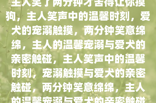 主人笑了两分钟才舍得让你摸狗，主人笑声中的温馨时刻，爱犬的宠溺触摸，两分钟笑意绵绵，主人的温馨宠溺与爱犬的亲密触碰，主人笑声中的温馨时刻，宠溺触摸与爱犬的亲密触碰，两分钟笑意绵绵，主人的温馨宠溺与爱犬的亲密触碰