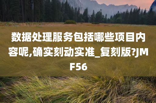 数据处理服务包括哪些项目内容呢,确实刻动实准_复刻版?JMF56