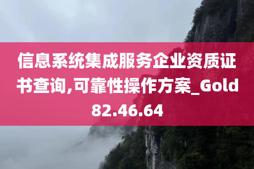 信息系统集成服务企业资质证书查询,可靠性操作方案_Gold82.46.64