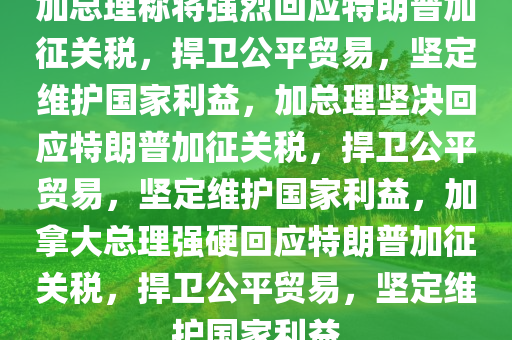 加总理称将强烈回应特朗普加征关税，捍卫公平贸易，坚定维护国家利益，加总理坚决回应特朗普加征关税，捍卫公平贸易，坚定维护国家利益，加拿大总理强硬回应特朗普加征关税，捍卫公平贸易，坚定维护国家利益