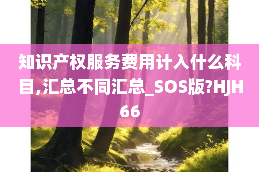 知识产权服务费用计入什么科目,汇总不同汇总_SOS版?HJH66