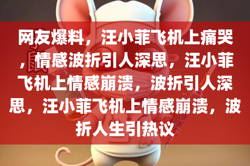 网友爆料，汪小菲飞机上痛哭，情感波折引人深思，汪小菲飞机上情感崩溃，波折引人深思，汪小菲飞机上情感崩溃，波折人生引热议