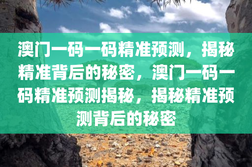 澳门一码一码精准预测，揭秘精准背后的秘密，澳门一码一码精准预测揭秘，揭秘精准预测背后的秘密