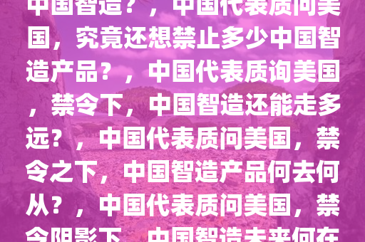 中国代表问美国，还想禁多少中国智造？，中国代表质问美国，究竟还想禁止多少中国智造产品？，中国代表质询美国，禁令下，中国智造还能走多远？，中国代表质问美国，禁令之下，中国智造产品何去何从？，中国代表质问美国，禁令阴影下，中国智造未来何在？