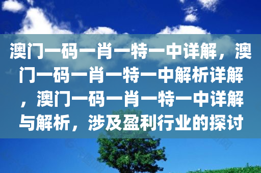 澳门一码一肖一特一中详解，澳门一码一肖一特一中解析详解，澳门一码一肖一特一中详解与解析，涉及盈利行业的探讨