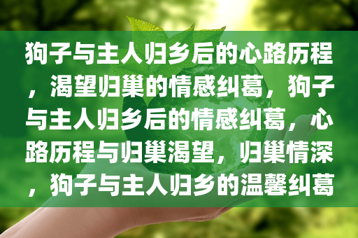 狗子与主人归乡后的心路历程，渴望归巢的情感纠葛，狗子与主人归乡后的情感纠葛，心路历程与归巢渴望，归巢情深，狗子与主人归乡的温馨纠葛