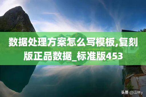 数据处理方案怎么写模板,复刻版正品数据_标准版453