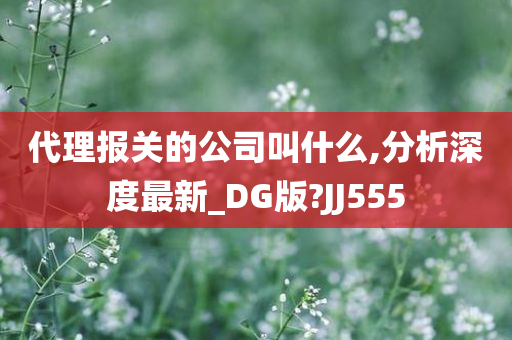 代理报关的公司叫什么,分析深度最新_DG版?JJ555