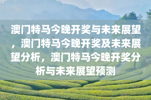 澳门特马今晚开奖与未来展望，澳门特马今晚开奖及未来展望分析，澳门特马今晚开奖分析与未来展望预测