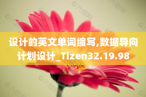 设计的英文单词缩写,数据导向计划设计_Tizen32.19.98