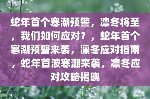 蛇年首个寒潮预警，凛冬将至，我们如何应对？，蛇年首个寒潮预警来袭，凛冬应对指南，蛇年首波寒潮来袭，凛冬应对攻略揭晓