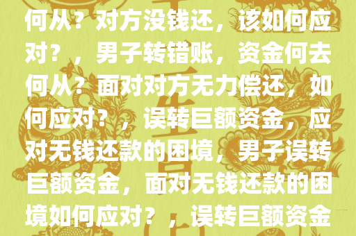 男子转错账，十几万资金何去何从？对方没钱还，该如何应对？，男子转错账，资金何去何从？面对对方无力偿还，如何应对？，误转巨额资金，应对无钱还款的困境，男子误转巨额资金，面对无钱还款的困境如何应对？，误转巨额资金，应对无力偿还的困境攻略