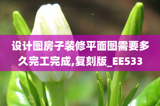 设计图房子装修平面图需要多久完工完成,复刻版_EE533