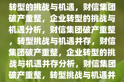 财信集团申请破产重整，企业转型的挑战与机遇，财信集团破产重整，企业转型的挑战与机遇分析，财信集团破产重整，转型挑战与机遇并存，财信集团破产重整，企业转型的挑战与机遇并存分析，财信集团破产重整，转型挑战与机遇并存解析