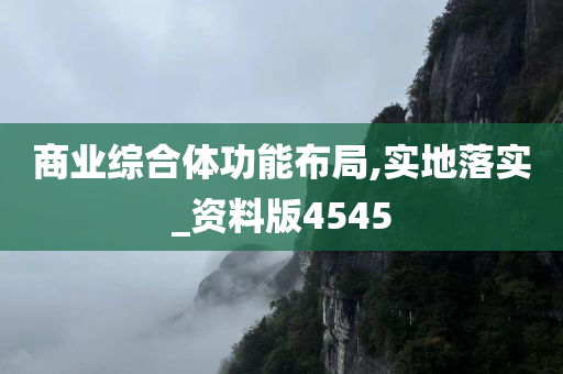 商业综合体功能布局,实地落实_资料版4545