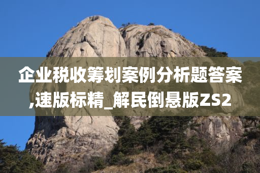 企业税收筹划案例分析题答案,速版标精_解民倒悬版ZS2