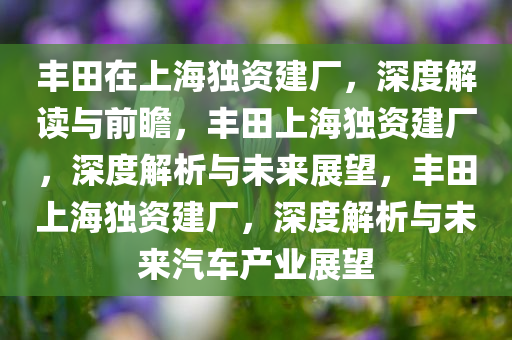 丰田在上海独资建厂，深度解读与前瞻，丰田上海独资建厂，深度解析与未来展望，丰田上海独资建厂，深度解析与未来汽车产业展望