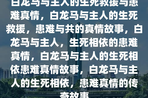 白龙马与主人的生死救援与患难真情，白龙马与主人的生死救援，患难与共的真情故事，白龙马与主人，生死相依的患难真情，白龙马与主人的生死相依患难真情故事，白龙马与主人的生死相依，患难真情的传奇故事