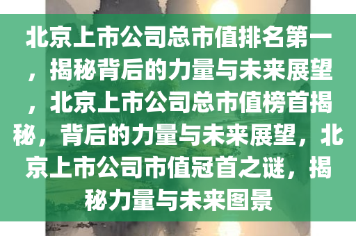 北京上市公司总市值排名第一，揭秘背后的力量与未来展望，北京上市公司总市值榜首揭秘，背后的力量与未来展望，北京上市公司市值冠首之谜，揭秘力量与未来图景