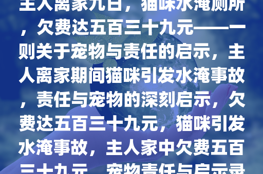 主人离家九日，猫咪水淹厕所，欠费达五百三十九元——一则关于宠物与责任的启示，主人离家期间猫咪引发水淹事故，责任与宠物的深刻启示，欠费达五百三十九元，猫咪引发水淹事故，主人家中欠费五百三十九元，宠物责任与启示录