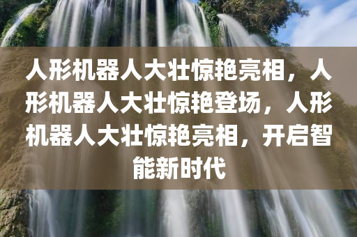 人形机器人大壮惊艳亮相，人形机器人大壮惊艳登场，人形机器人大壮惊艳亮相，开启智能新时代