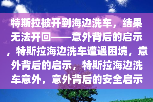 特斯拉被开到海边洗车，结果无法开回——意外背后的启示，特斯拉海边洗车遭遇困境，意外背后的启示，特斯拉海边洗车意外，意外背后的安全启示