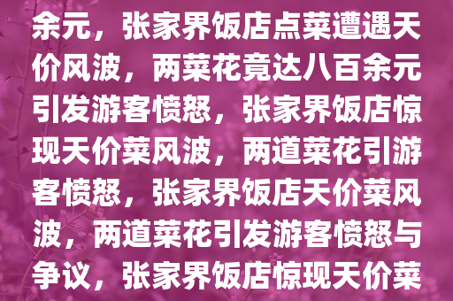 游客曝张家界一饭店点菜遭遇天价风波，两个菜花竟达八百余元，张家界饭店点菜遭遇天价风波，两菜花竟达八百余元引发游客愤怒，张家界饭店惊现天价菜风波，两道菜花引游客愤怒，张家界饭店天价菜风波，两道菜花引发游客愤怒与争议，张家界饭店惊现天价菜风波，游客愤怒质疑两道菜花超800元