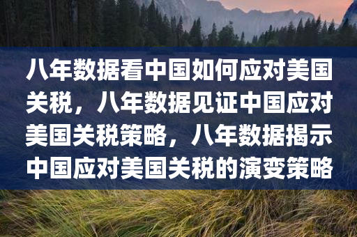 八年数据看中国如何应对美国关税，八年数据见证中国应对美国关税策略，八年数据揭示中国应对美国关税的演变策略