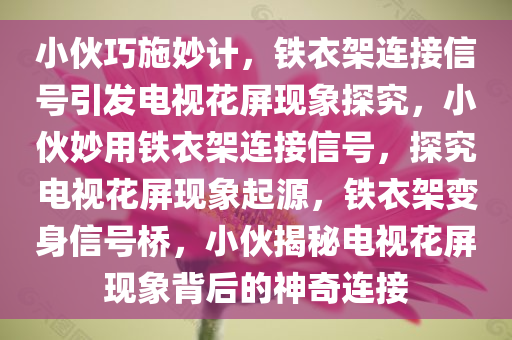 小伙巧施妙计，铁衣架连接信号引发电视花屏现象探究，小伙妙用铁衣架连接信号，探究电视花屏现象起源，铁衣架变身信号桥，小伙揭秘电视花屏现象背后的神奇连接