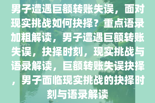 男子遭遇巨额转账失误，面对现实挑战如何抉择？重点语录加粗解读，男子遭遇巨额转账失误，抉择时刻，现实挑战与语录解读，巨额转账失误抉择，男子面临现实挑战的抉择时刻与语录解读