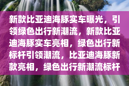 新款比亚迪海豚实车曝光，引领绿色出行新潮流，新款比亚迪海豚实车亮相，绿色出行新标杆引领潮流，比亚迪海豚新款亮相，绿色出行新潮流标杆