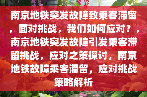 南京地铁突发故障致乘客滞留，面对挑战，我们如何应对？，南京地铁突发故障引发乘客滞留挑战，应对之策探讨，南京地铁故障乘客滞留，应对挑战策略解析